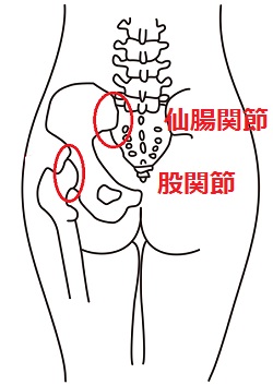 仙腸1-2.jpg 仙腸1-2.jpg